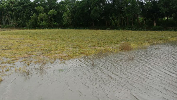  ক্ষতিগ্রস্ত প্রায় ৩ লক্ষ মানুষ