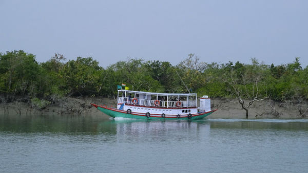 দুর্যোগ থেকে বাঁচাতে গাছের বিকল্প নেই