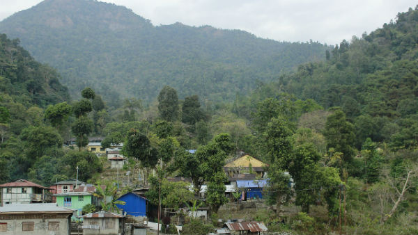 জাপানিজ টেম্পল এবং পেস প্যাগোডা
