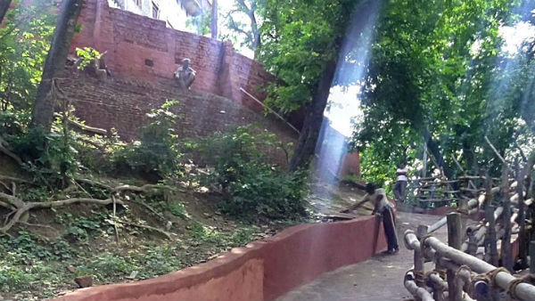 মণি পর্বত 