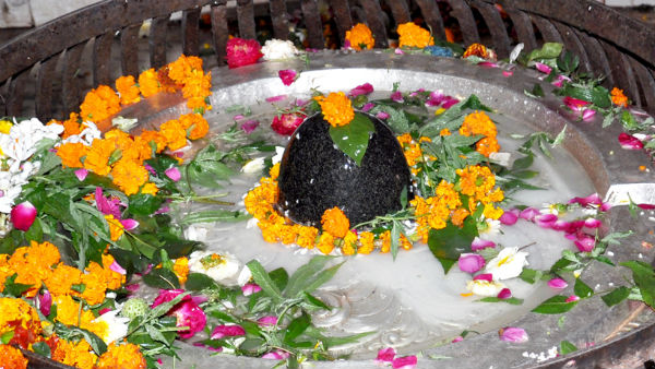 নাগেশ্বরনাথ মন্দির 