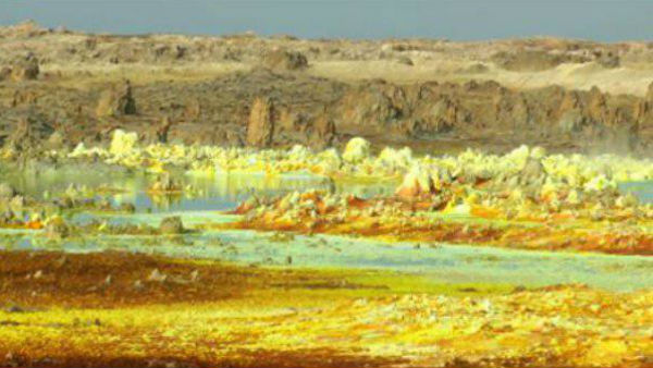 ভিনগ্রহের মতো দেখতে দাল্লোল ভিনগ্রহের মতো দেখতে দাল্লোল