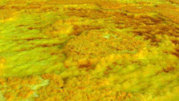 এলাকায় প্রাণের অস্তিত্ব নিয়ে গবেষণা এলাকায় প্রাণের অস্তিত্ব নিয়ে গবেষণা