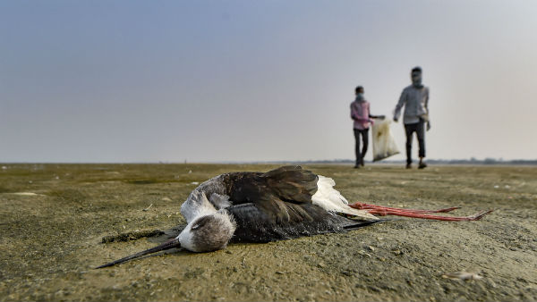  উৎপাদন থমকে যাওয়ার আশঙ্কা