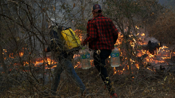 আমাজনে অগ্নিকাণ্ড আমাজনে অগ্নিকাণ্ড