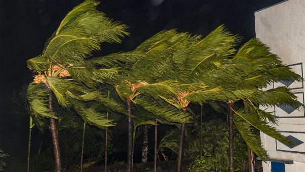  ঘূর্ণিঝড় ফেণি