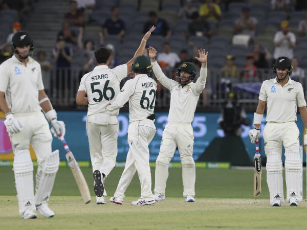 নিউজিল্যান্ডের পারফর্ম্যান্স নিউজিল্যান্ডের পারফর্ম্যান্স