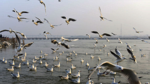 যমুনার নদীর জল বিক্রির সিদ্ধান্ত হিমাচল প্রদেশ সরকারের যমুনার নদীর জল বিক্রির সিদ্ধান্ত হিমাচল প্রদেশ সরকারের