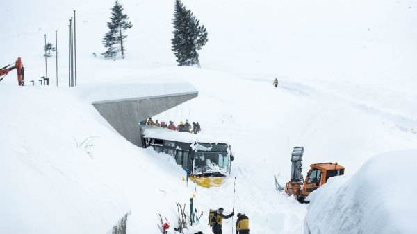 ভিডিওটি দেখে পর্যটকরাও হতভম্ব