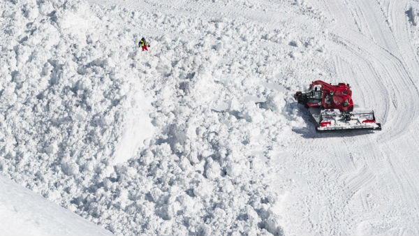 অবাক দৃশ্য দেখে পালাতে ভুলে ছবি তুলতেই ব্যস্ত