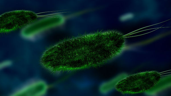 করোনা ভাইরাস ঘিরে ভারতের 'অ্যাডভাইসারি'