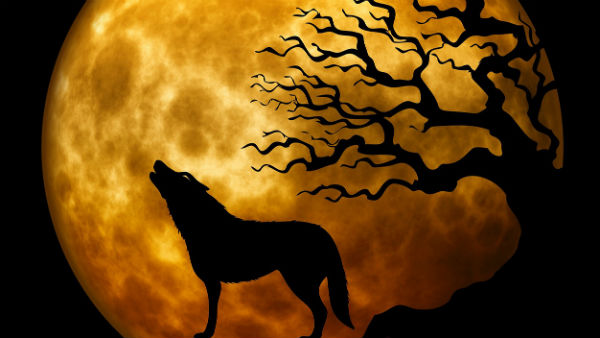 সালোকসংশ্লেষ ঘটাতেও সক্ষম চাঁদের মাটি