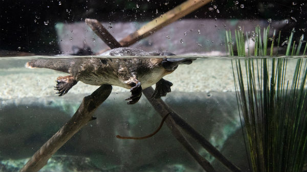 কীভাবে বাতাস থেকে জল টানা হয়? কীভাবে বাতাস থেকে জল টানা হয়?