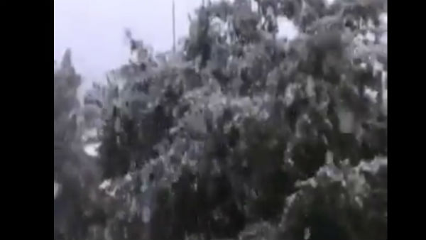 বাগদাদে তুষারপাত