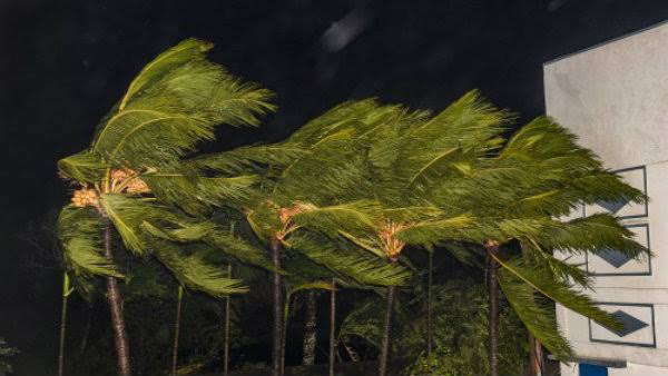 বুলবুলের প্রভাব থেকে কলকাতাকে বাঁচায় সুন্দরবন বুলবুলের প্রভাব থেকে কলকাতাকে বাঁচায় সুন্দরবন