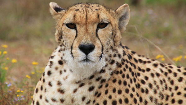 সমীক্ষার ফলাফল উদ্বেগজনক সমীক্ষার ফলাফল উদ্বেগজনক