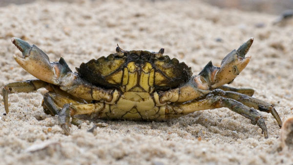 জেলার অর্থনীতিতে আঘাত