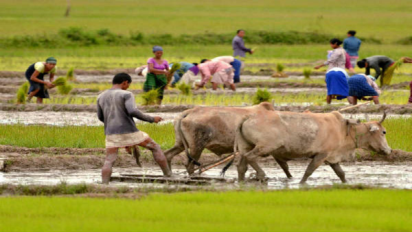 কৃষকদের জন্য সোলার পাওয়ার ইউনিট