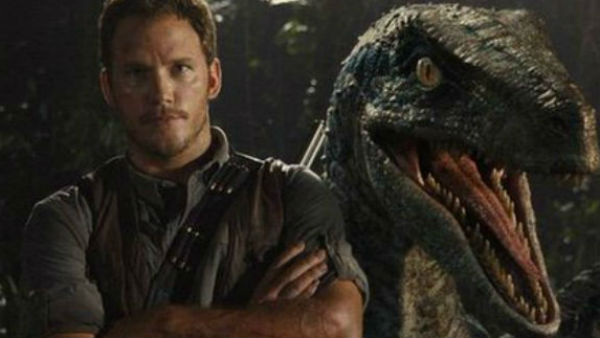 কোথায় মিলেছিল ওই ডিম 