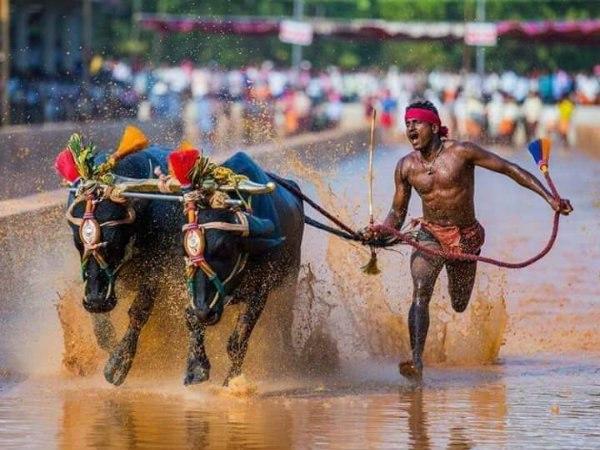 তোলপাড় সোশ্যাল মিডিয়া তোলপাড় সোশ্যাল মিডিয়া