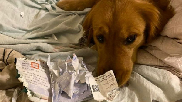 অন্য ঘটনা 