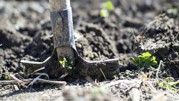 বিগত কয়েক মাসে তৃতীয় বার ধনরাশি উদ্ধার 