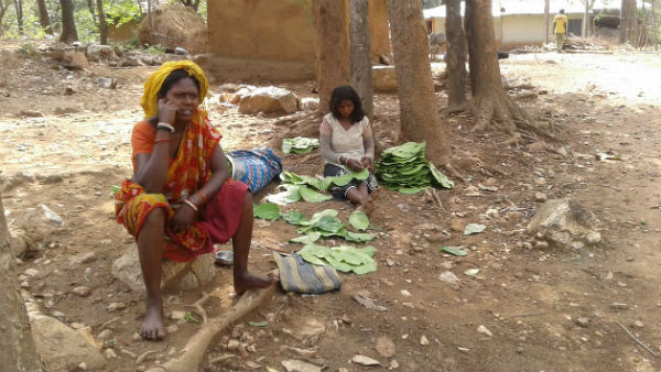  ১৪ টি গ্রাম সিল