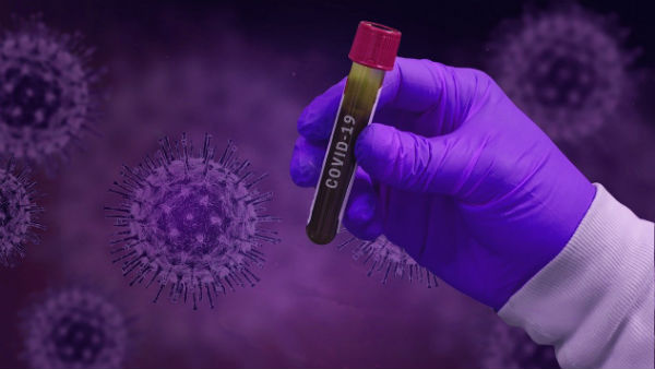 সোয়াইন ফ্লু ও করোনার প্রতিকার সোয়াইন ফ্লু ও করোনার প্রতিকার