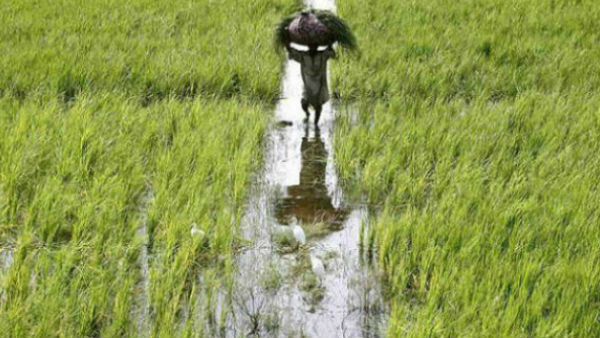 চতুর্থ উদ্যোগ