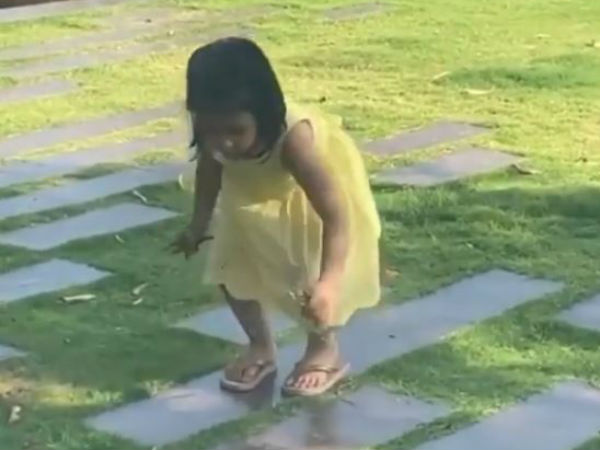 জিভার কাণ্ড জিভার কাণ্ড