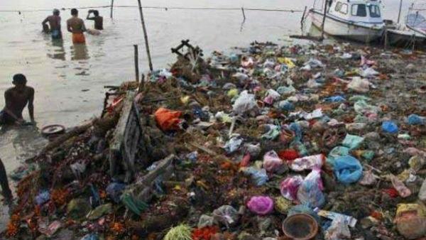 গঙ্গাদূষণে শুশুকরা বিপন্ন গঙ্গাদূষণে শুশুকরা বিপন্ন