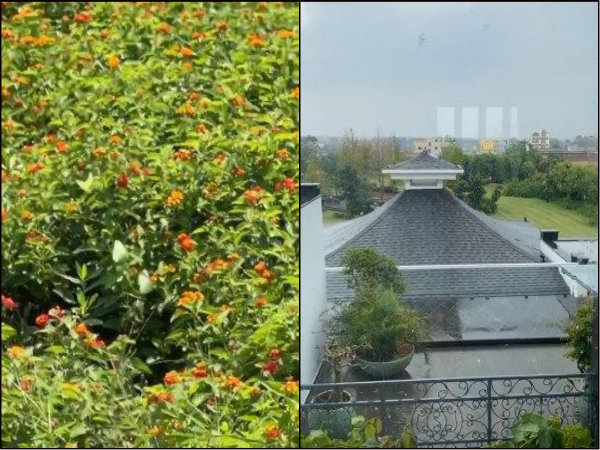 প্রকৃতির কোলে সময় কাটাচ্ছেন সাক্ষী