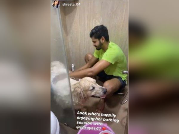 পোষ্যকে স্নান করালেন শ্রেয়স পোষ্যকে স্নান করালেন শ্রেয়স