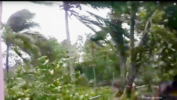 ভদ্রকে মৃত ১