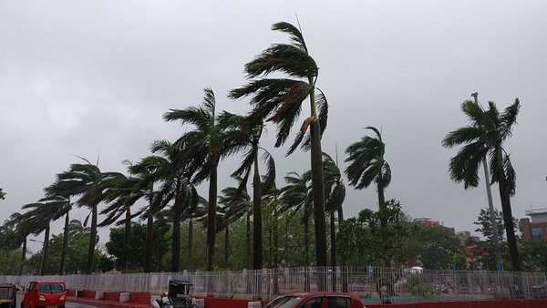  স্কুলের ছাদ ওড়া থেকে গাছ পড়ে অবরুদ্ধ এলাকা..