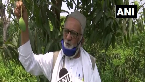  নামকরণ করেছেন ম্যাঙ্গো ম্যান
