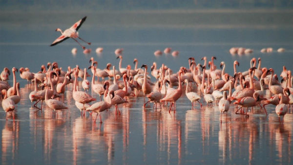 এই বছর নতুন রেকর্ড তৈরি হবে