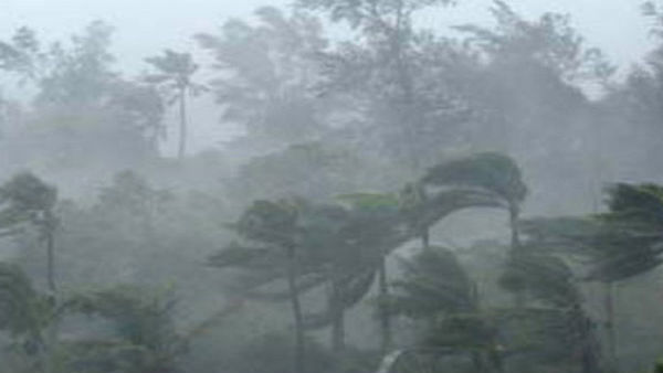 বনাঞ্চলের গাছ অবিলম্বে পাতলা করাও প্রয়োজন