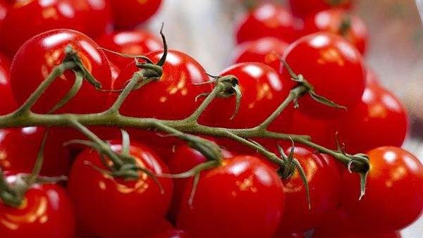 অন্য ফলনেও থাবা বসানোর আশঙ্কা অন্য ফলনেও থাবা বসানোর আশঙ্কা