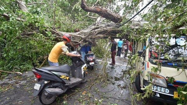 আম্ফানের কাছে হেরে গেল বটগাছটি আম্ফানের কাছে হেরে গেল বটগাছটি