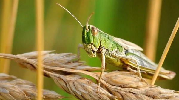 সমস্যার বিষয়ে পাকিস্তানের সঙ্গে আলোচনা শুরু করেছে ভারত সমস্যার বিষয়ে পাকিস্তানের সঙ্গে আলোচনা শুরু করেছে ভারত