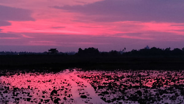 দিঘায় রেড অ্যালার্ট বা লাল সতর্কতা জারি