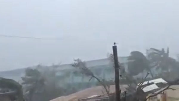 সুন্দরবনে বাঘ বাঁচানোর লড়াই