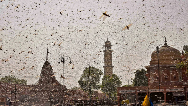 প্রস্তুতি নেওয়ার বার্তা