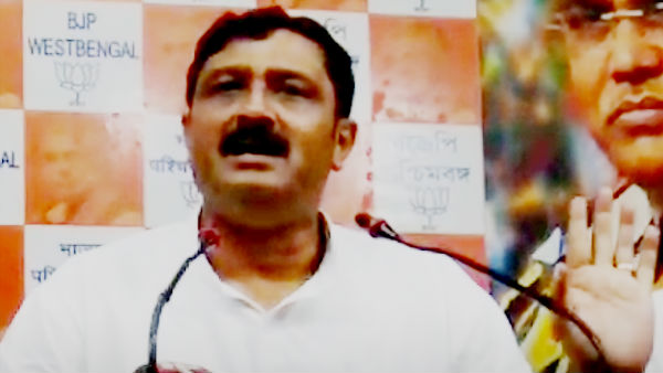 ঝুলি থেকে বেড়াল বেরিয়ে পড়েছে