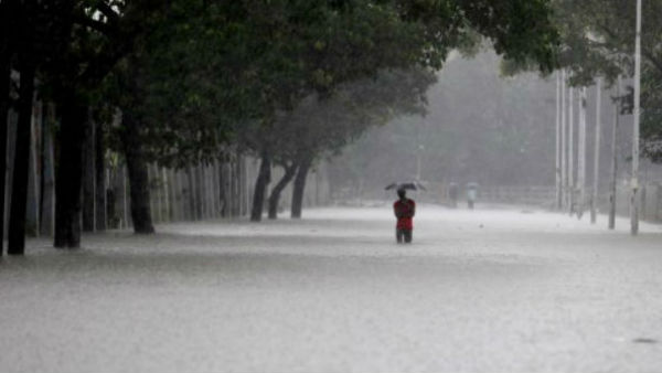 বৃষ্টির সঙ্গে বইল ঝোড়ো হাওয়া