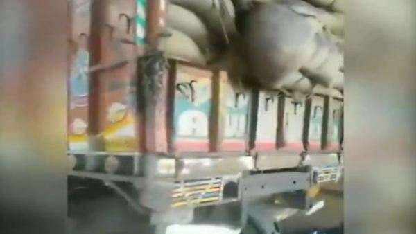 বাংলাদেশের চাল আমদানি বাংলাদেশের চাল আমদানি