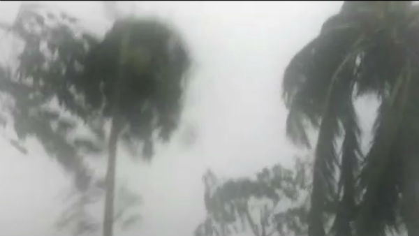 উড়ালপুল বা গাছের নিচে দাঁড়াবেন না