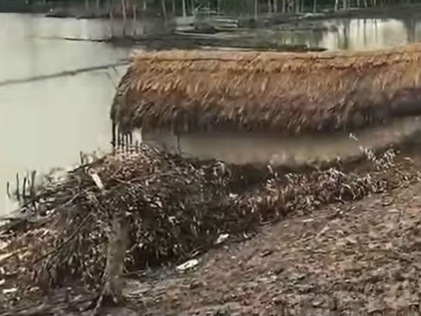 ভিডিও পোস্ট শিল্টনের ভিডিও পোস্ট শিল্টনের
