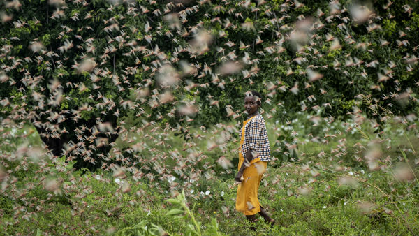 ড্রাম, বাসন, মিউজিক সিস্টেমে গান বাজানোর নির্দেশ ড্রাম, বাসন, মিউজিক সিস্টেমে গান বাজানোর নির্দেশ